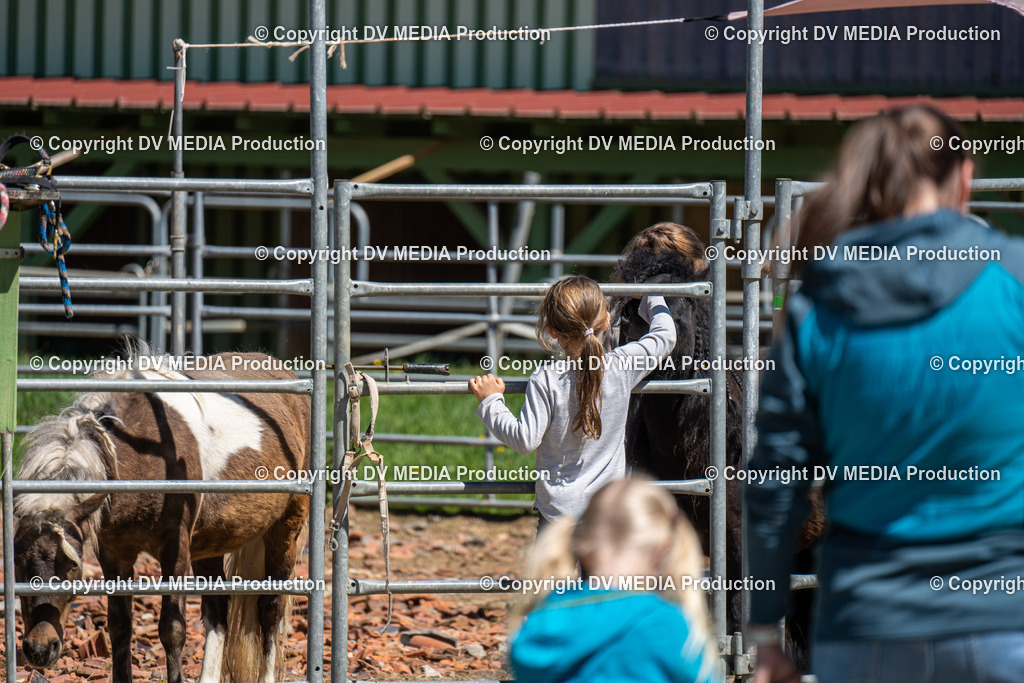 Balingen Tag 1-581 | dv-media-shop - Realisiert mit Pictrs.com