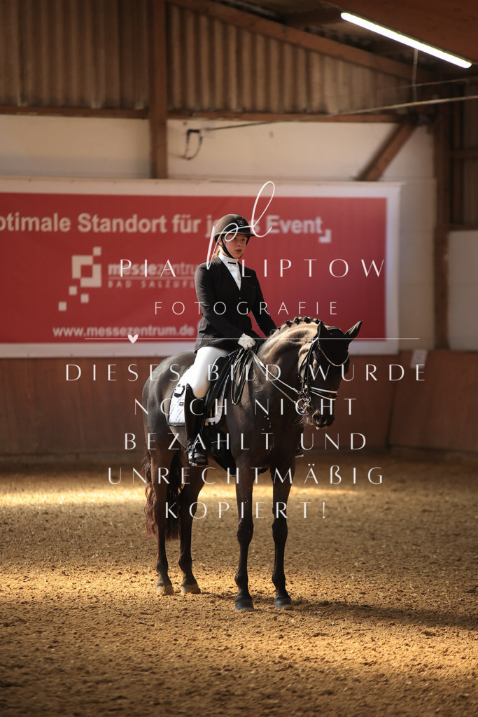 IMGT2789 | pl-fotografie