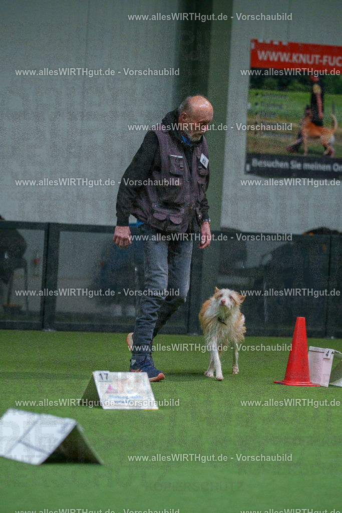 7R503583 | Professionelle Tierfotografie in Mönchengladbach von Daniel Wirth (allesWIRTHgut). Liebevolle & natürliche Bilder von Hunden & Katzen für unvergessliche Erinnerungen.