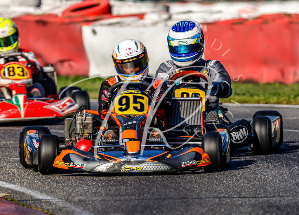 90848A6E-B669-4080-B476-AD0F14DD9891 | traudl_s_fotos