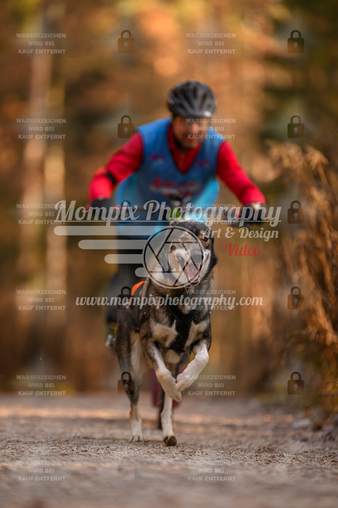 MompixPhotography_DM_AKDM_SO_2025_Scooter-216 | PayLife