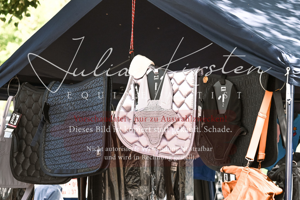 DSC_7059 | Pferde- und Turnierfotografie in Westsachsen. Pferdeportraits, Auftragszeichnungen und intuitive Kunst.