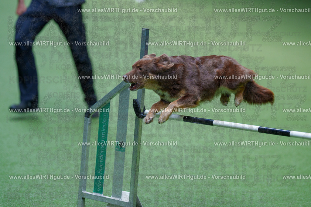 @allesWIRTHgut_Tierfotografie - www.allesWIRTHgut.de - 2604261247-7R501690 | Professionelle Tierfotografie in Mönchengladbach von Daniel Wirth (allesWIRTHgut). Liebevolle & natürliche Bilder von Hunden & Katzen für unvergessliche Erinnerungen.