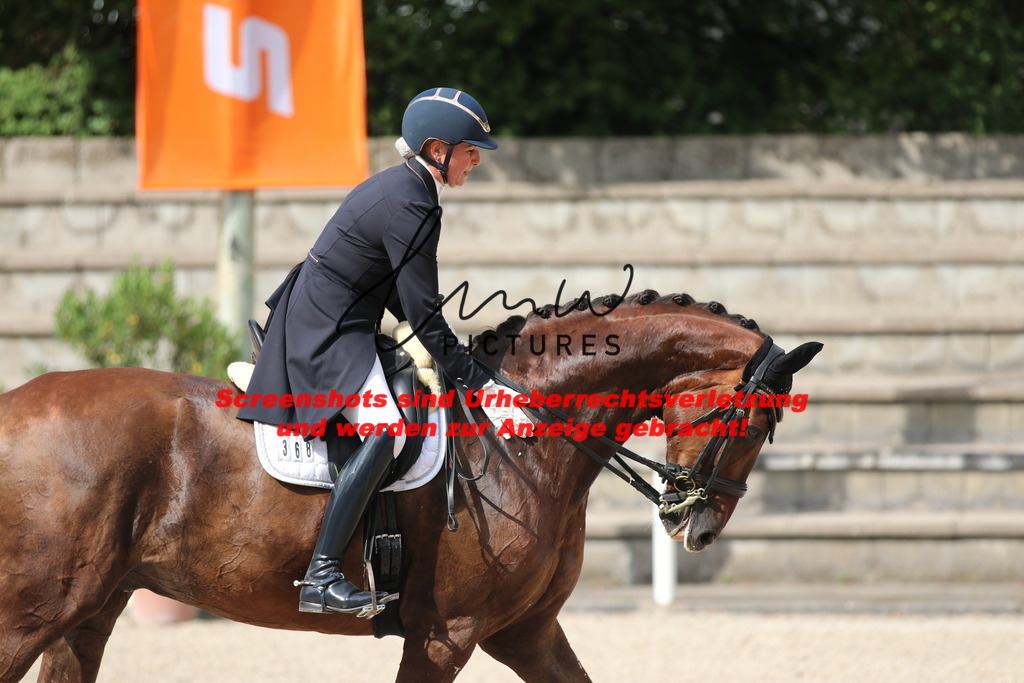 IMG_6617 | lmwpictures - Realisiert mit Pictrs.com