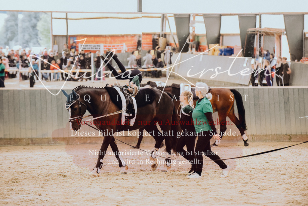 DSC_6867 | Pferde- und Turnierfotografie in Westsachsen. Pferdeportraits, Auftragszeichnungen und intuitive Kunst.