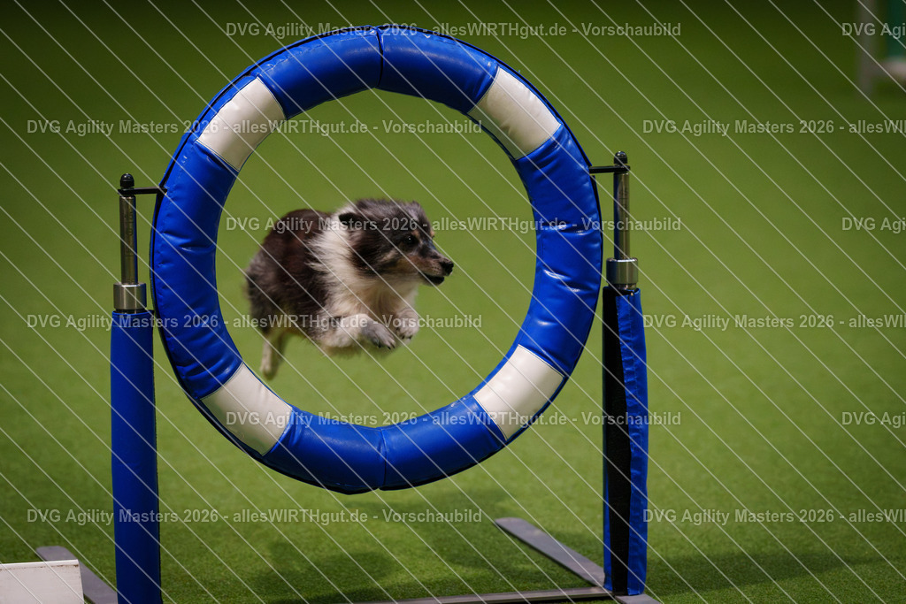 allesWIRTHgut_Tierfotografie-DVG_Agility_Masters_2026-08_14-7R507775 | Professionelle Tierfotografie in Mönchengladbach von Daniel Wirth (allesWIRTHgut). Liebevolle & natürliche Bilder von Hunden & Katzen für unvergessliche Erinnerungen.