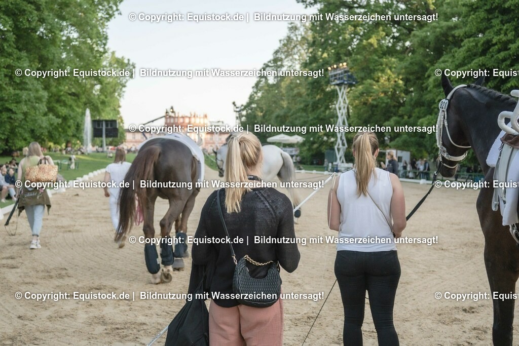 ZFC_4158 | equistock