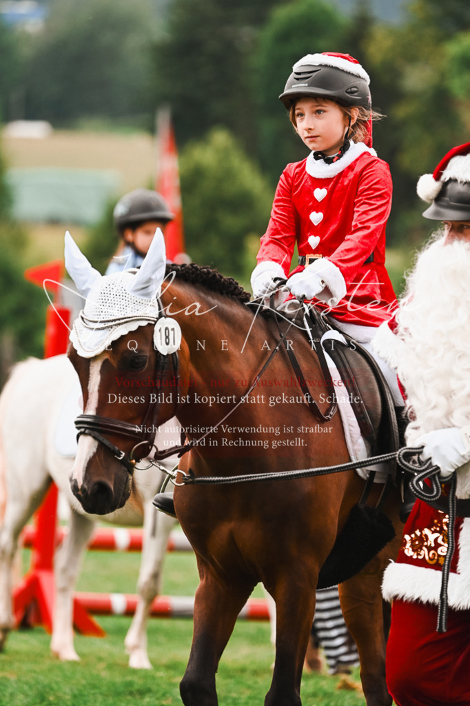 DSC_7530 | Pferde- und Turnierfotografie in Westsachsen. Pferdeportraits, Auftragszeichnungen und intuitive Kunst.