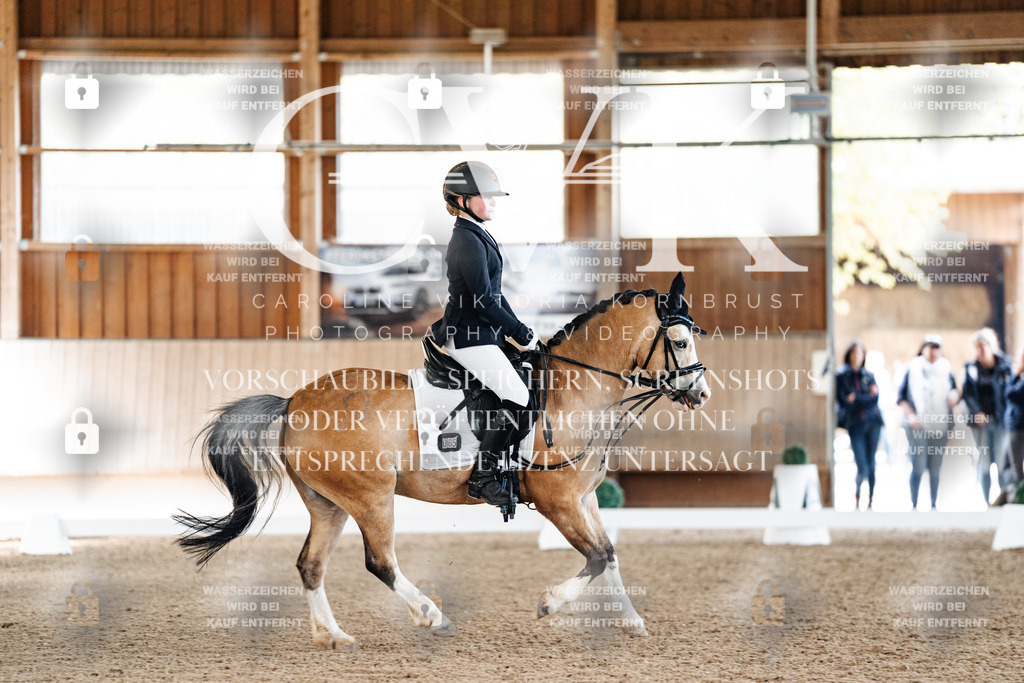 CK909245 | Turnierfotografie Pferdefotografie Trier Rheinland-Pfalz Pferdesport Reitsport Tierfotografie Sportfotografie Pferdevideo Pferdevideografie Equestrianvideography equestrianphotography  - Realisiert mit Pictrs.com
