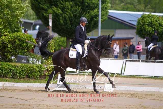 DKP40725 | Turniersportfotografie; Pferdefotografie; Dressurfotografie