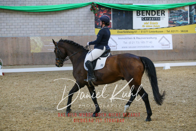 IMG_2737 | Turnierfotos kaufen im Webshop von Daniel Kuhl Photography – entdecke professionelle Reitsportfotos aus Turnieren & Events. Hochwertige Turnierbilder online bestellen & sichern. Jetzt Fotos von Reitsportturnieren kaufen!