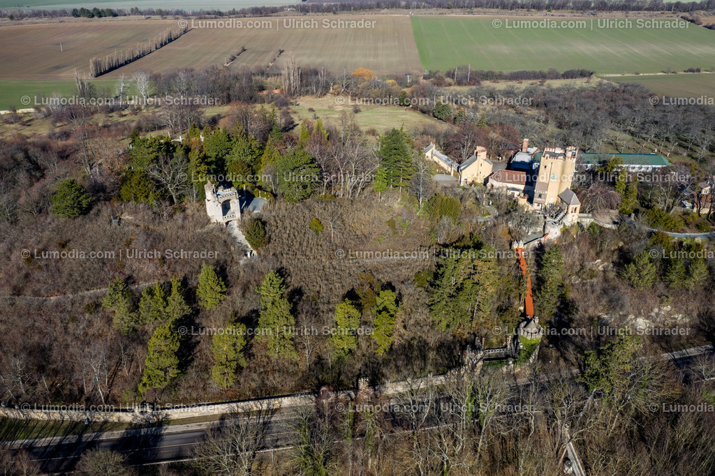 10049-50131 - Roseburg bei Ballenstedt | Stockfoto und Bilderpool mit Bildmaterial aus Deutschland, dem Harz, Halberstadt, Quedlinburg, Wernigerode und weltweit. Qualitativ hochwertige und professionelle Fotos anschauen und kaufen. - Realisiert mit Pictrs.com