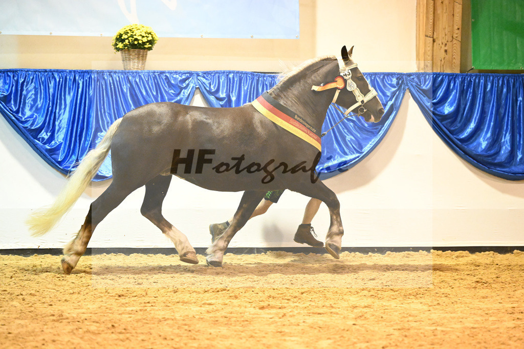 Kat-Nr. 43 Oxana_Steinle_53221393 | hf-fotografie - Realisiert mit Pictrs.com