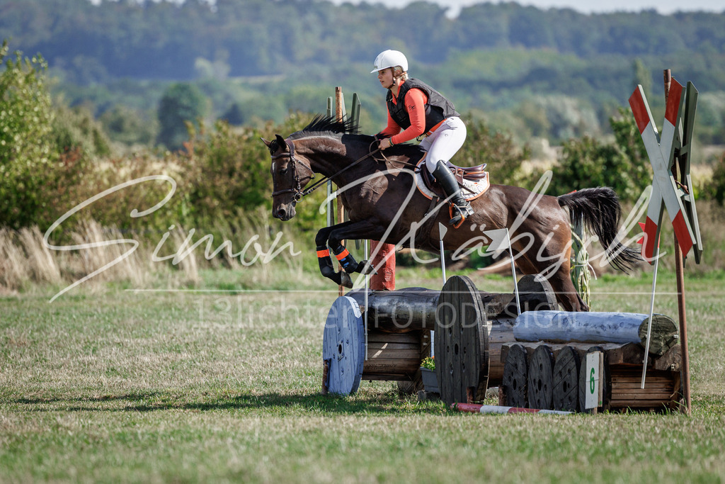 20260905-_3LI9706 | Tierfotografie Pferde, Hunde, Katzen, Haustiere.
Turnierfotografie Reitturniere, Reiten, Springreiten, Dressur in Hanau, dem Main-Kinzig-Kreis und dem Rhein-Main- Gebiet um Frankfurt