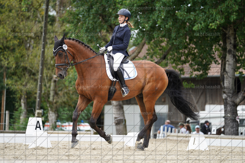 20230826-FAH05693 | Forstinning, 2023, Dressurturnier, Turniersportbilder, Turnierfotografen Bayern, Fotoagentur Herrmann, Reitsportfotografie, Turnierbilder