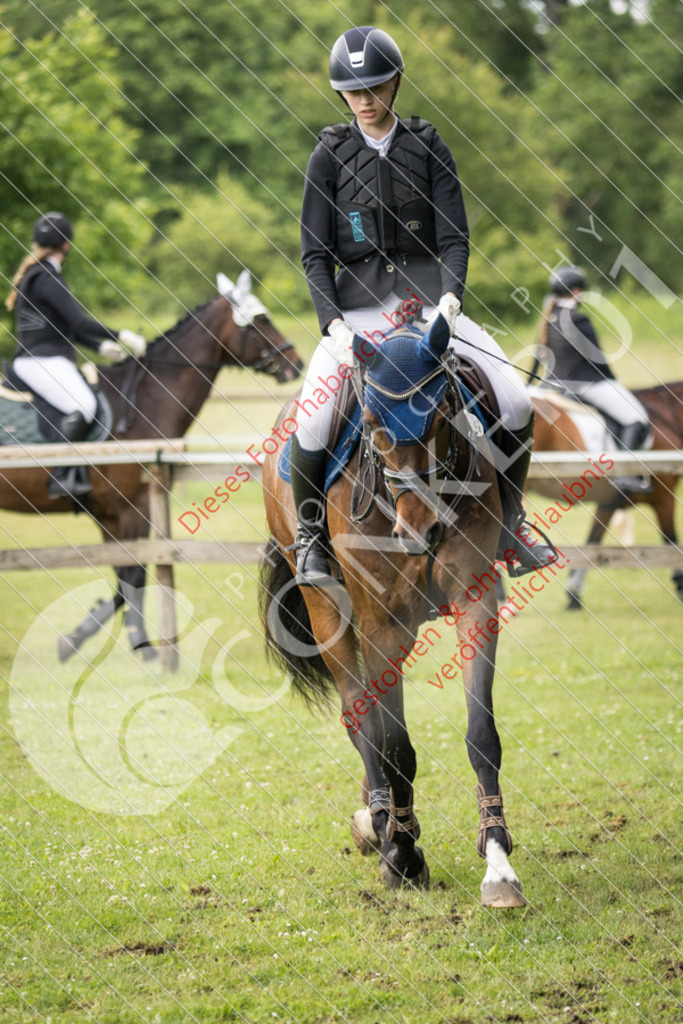 IMG_2494 | Sport-, Event- und Tierfotos in Profiqualität. Einfach auswählen, bestellen und herunterladen. Dein Moment – perfekt festgehalten.