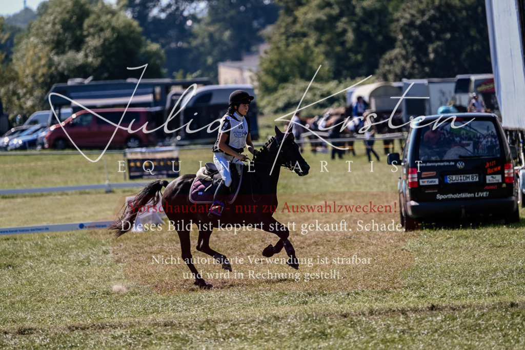 DSC_1934 | Pferde- und Turnierfotografie in Westsachsen. Pferdeportraits, Auftragszeichnungen und intuitive Kunst.