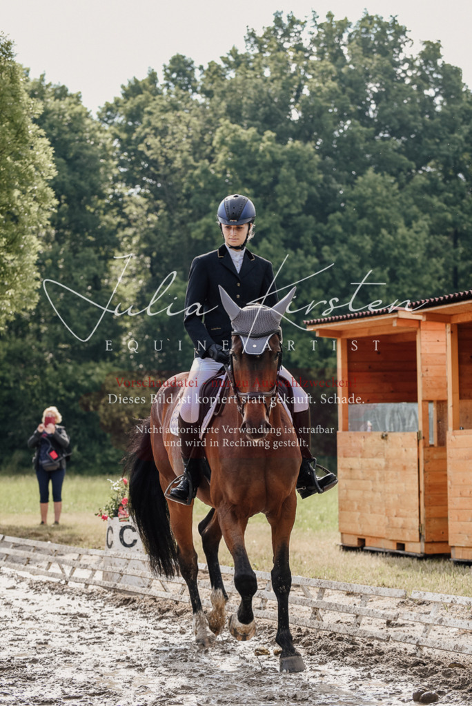 DSC_9013 | Pferde- und Turnierfotografie in Westsachsen. Pferdeportraits, Auftragszeichnungen und intuitive Kunst.