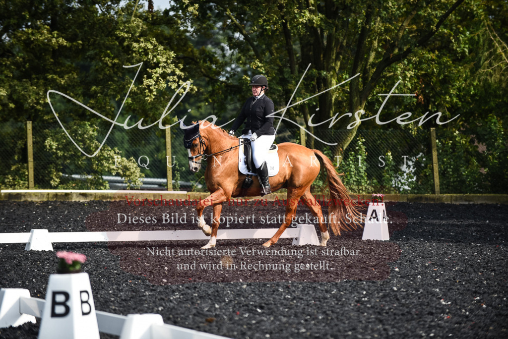 DSC_3058 | Pferde- und Turnierfotografie in Westsachsen. Pferdeportraits, Auftragszeichnungen und intuitive Kunst.