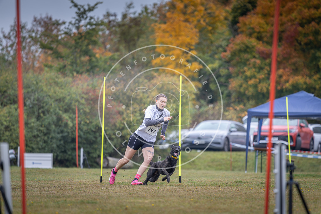 Pfotenfotografie_DV3A1081 | Hundefotografie, Tierfotograf, Pfotenfotografie, Fotoshooting Hund, Hunde Portrait, Hundesport, Hundeportraits, Heideshooting, Hunde, Sportfotograf, Hundefotograf, Turnierhundsport, THS,  - Realisiert mit Pictrs.com