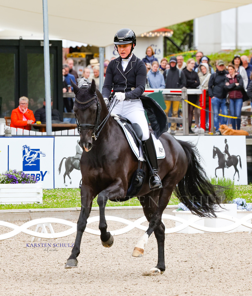 1B3A7390 | Reitsport Reiten