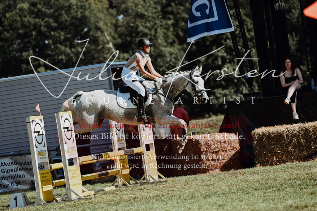 DSC_6865 | Pferde- und Turnierfotografie in Westsachsen. Pferdeportraits, Auftragszeichnungen und intuitive Kunst.