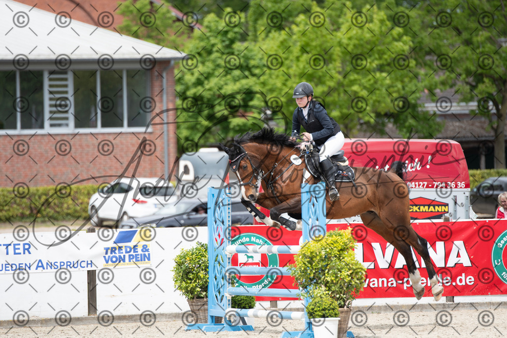 KPT_5675 | andre_photographic