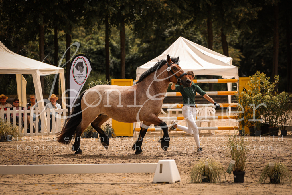 SaSieger00015 | Leoni Ertmer Photography - Realisiert mit Pictrs.com