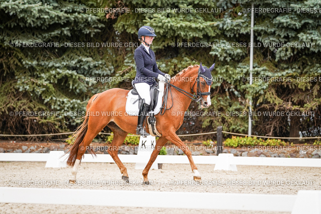 DSC07105 | Pferdegrafie