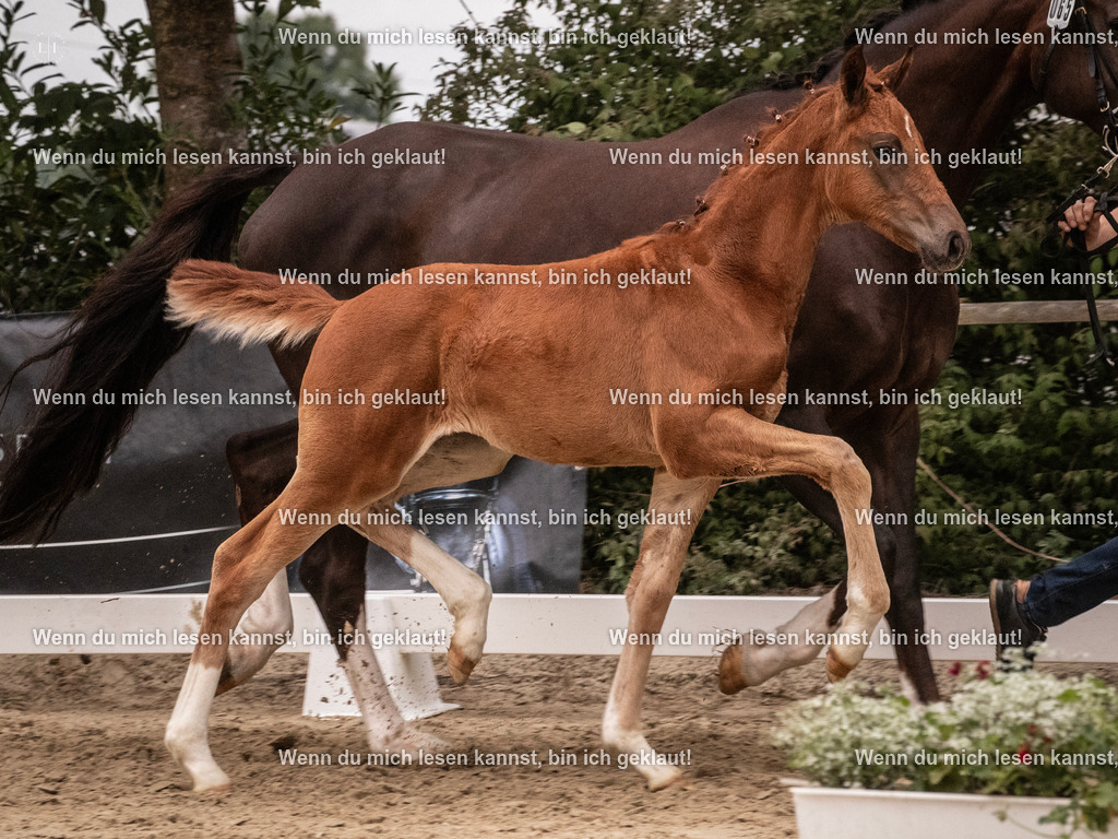 A10I6627 | photographylinaismer - Realisiert mit Pictrs.com