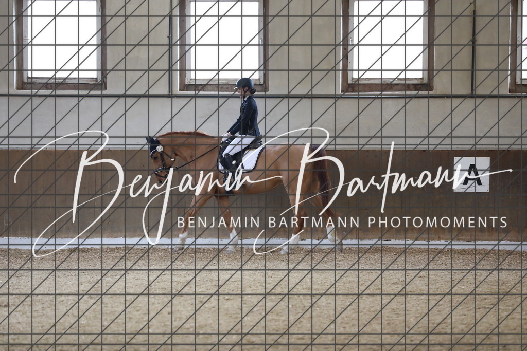 AZ2A7182 | Benjamin Bartmann Photomoments