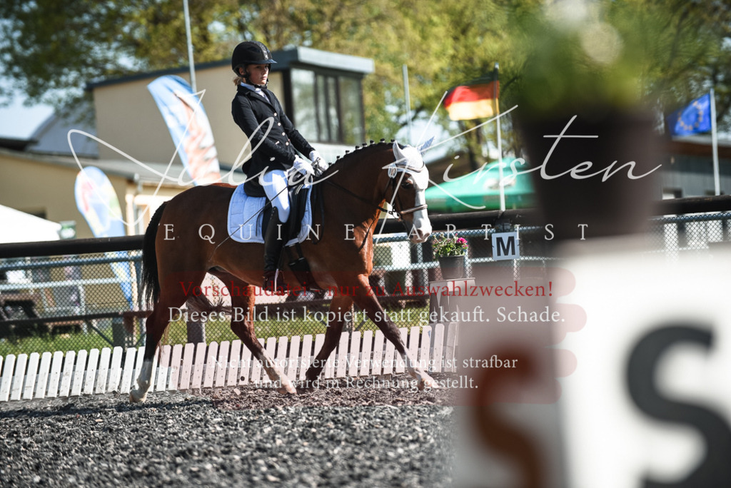 DSC_8705 | Pferde- und Turnierfotografie in Westsachsen. Pferdeportraits, Auftragszeichnungen und intuitive Kunst.