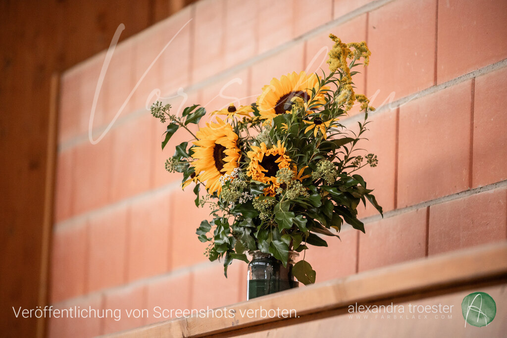 250912_Barop_10-1_078 | farbklaex.com