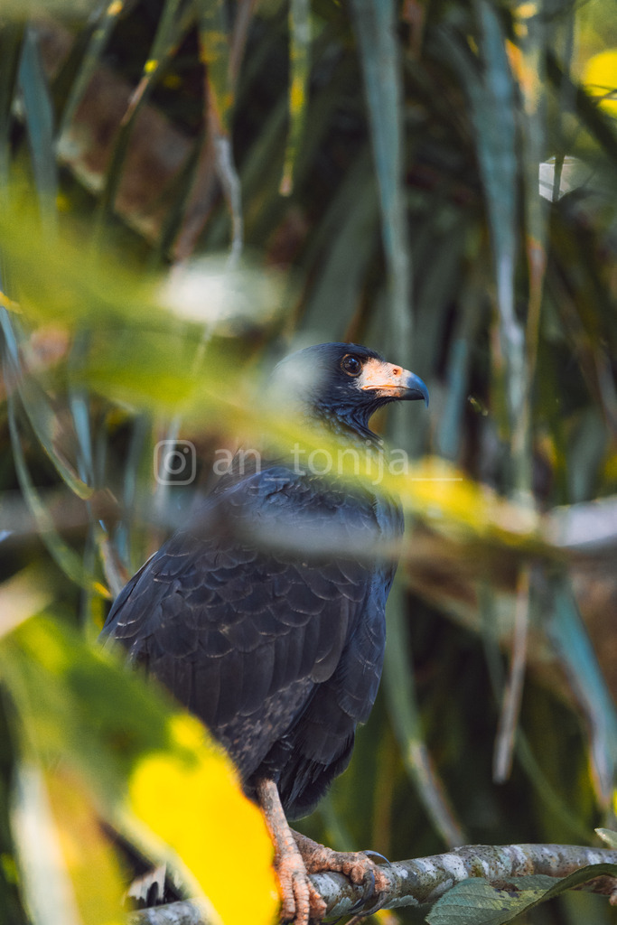 JB3A2948 | antonija-trupina - Realisiert mit Pictrs.com