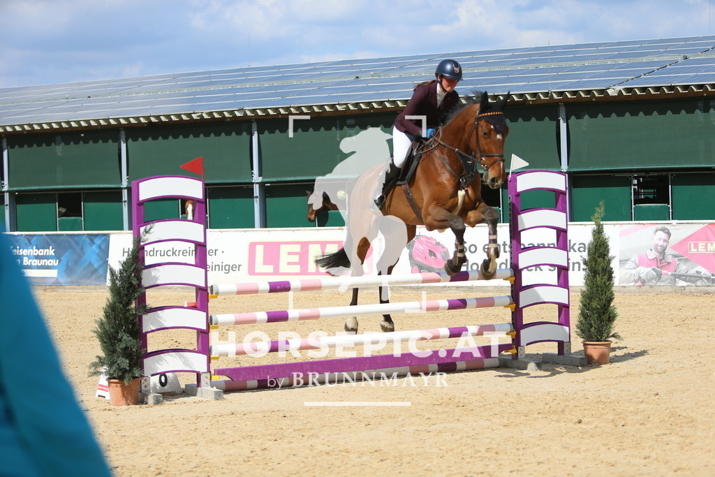 DL2Q9158 | Willkommen bei Brunnmayr - Design & Fotografie – Ihrem Spezialisten für Reitturniere und Pferdeveranstaltungen in Oberösterreich, Salzburg und Bayern! Seit über 17 Jahren sind wir leidenschaftlich dabei.