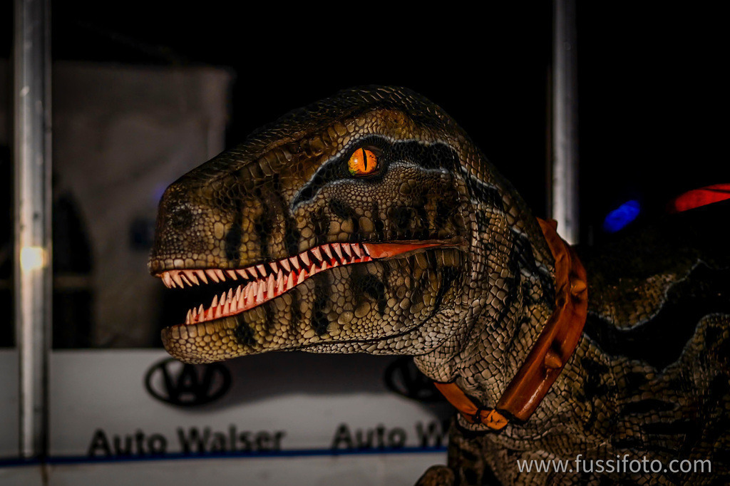 IMG_0077 | "Fussifoto.com – Ihr Ansprechpartner für hochwertige Fotografie! Entdecken Sie kreative Bilder und professionelle Dienstleistungen. Kontaktieren Sie uns für Ihre Projekte!"