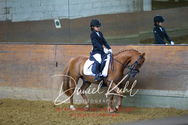 DKP43898 | Turniersportfotografie; Pferdefotografie; Dressurfotografie