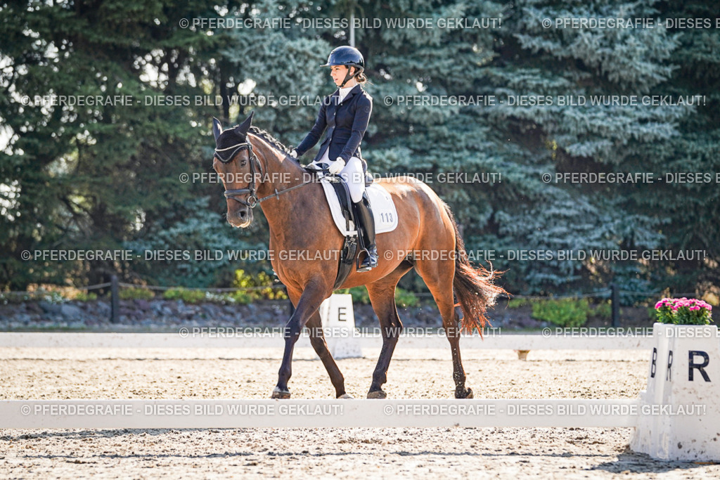 DSC09416 | Pferdegrafie