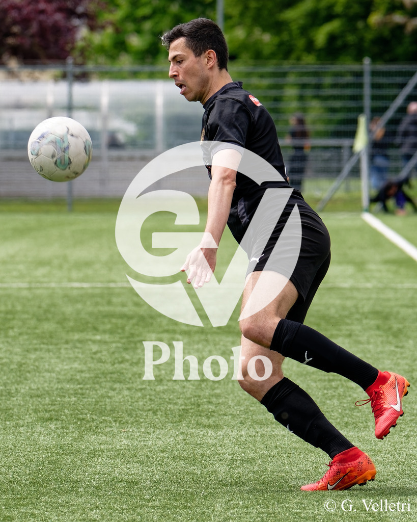 DSC_4032 | Velletri Photo