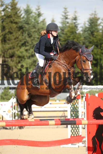 Waldachtal-Salzstetten_2022_Springen_Kl.M_Youngster_Victoria Hoffmeister_Dylan HH (2) | Alle Fotos der Reiterjournal Fotografin Doris Matthaes im Reiterjournal Online-Fotoshop. - Realisiert mit Pictrs.com