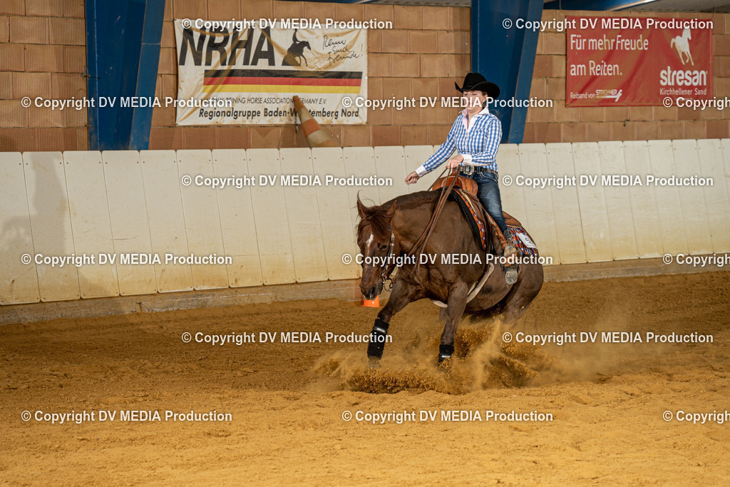 MIT00285 | dv-media-shop - Realisiert mit Pictrs.com