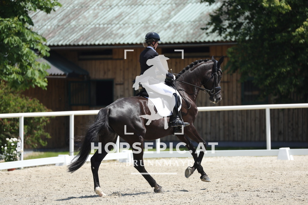 0P6A1518 | Willkommen bei Brunnmayr - Design & Fotografie – Ihrem Spezialisten für Reitturniere und Pferdeveranstaltungen in Oberösterreich, Salzburg und Bayern! Seit über 17 Jahren sind wir leidenschaftlich dabei.