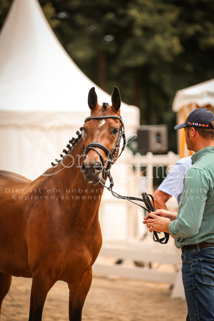 11.So00136 | Leoni Ertmer Photography - Realisiert mit Pictrs.com