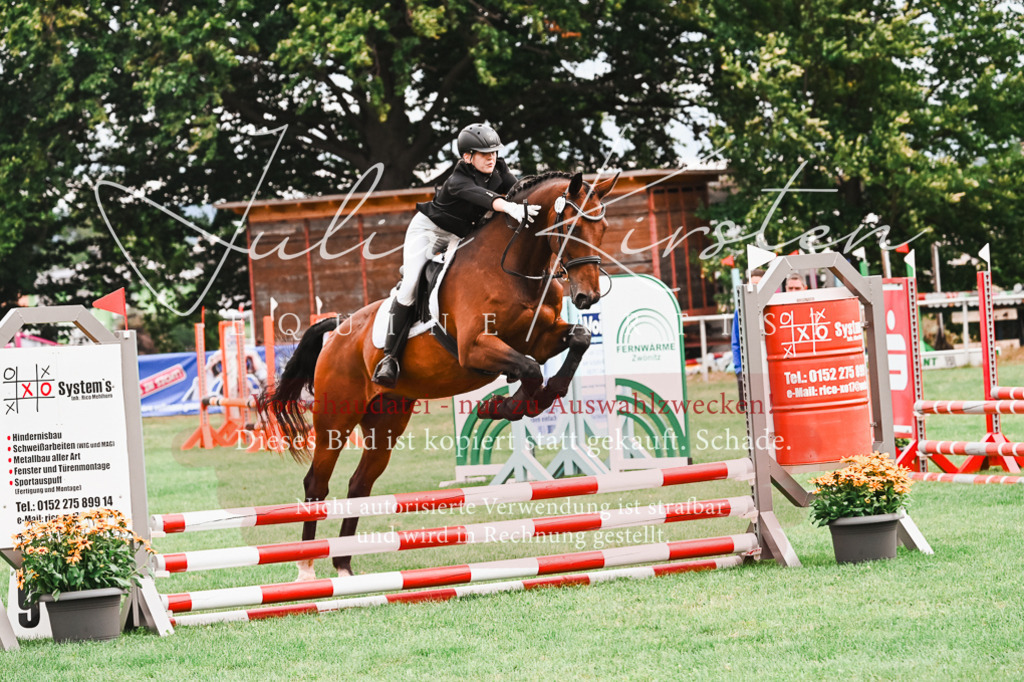 DSC_5978 | Pferde- und Turnierfotografie in Westsachsen. Pferdeportraits, Auftragszeichnungen und intuitive Kunst.