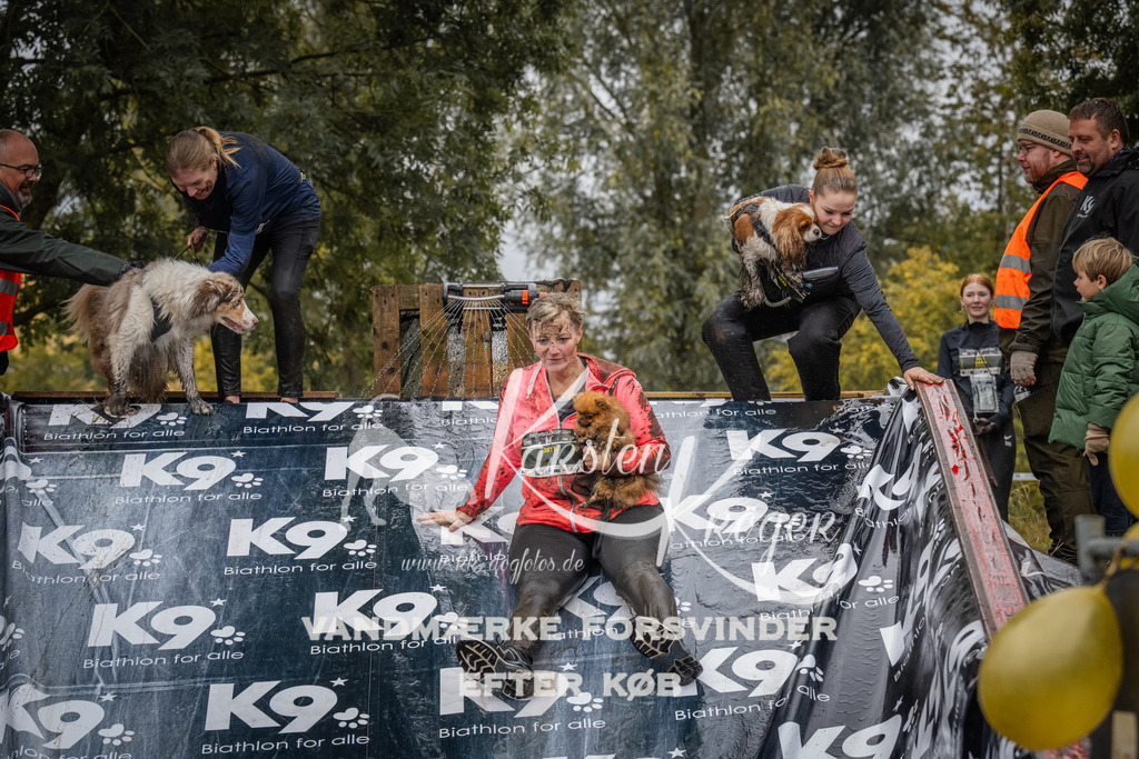 1210_ZZ94521 | kk-dogfotos