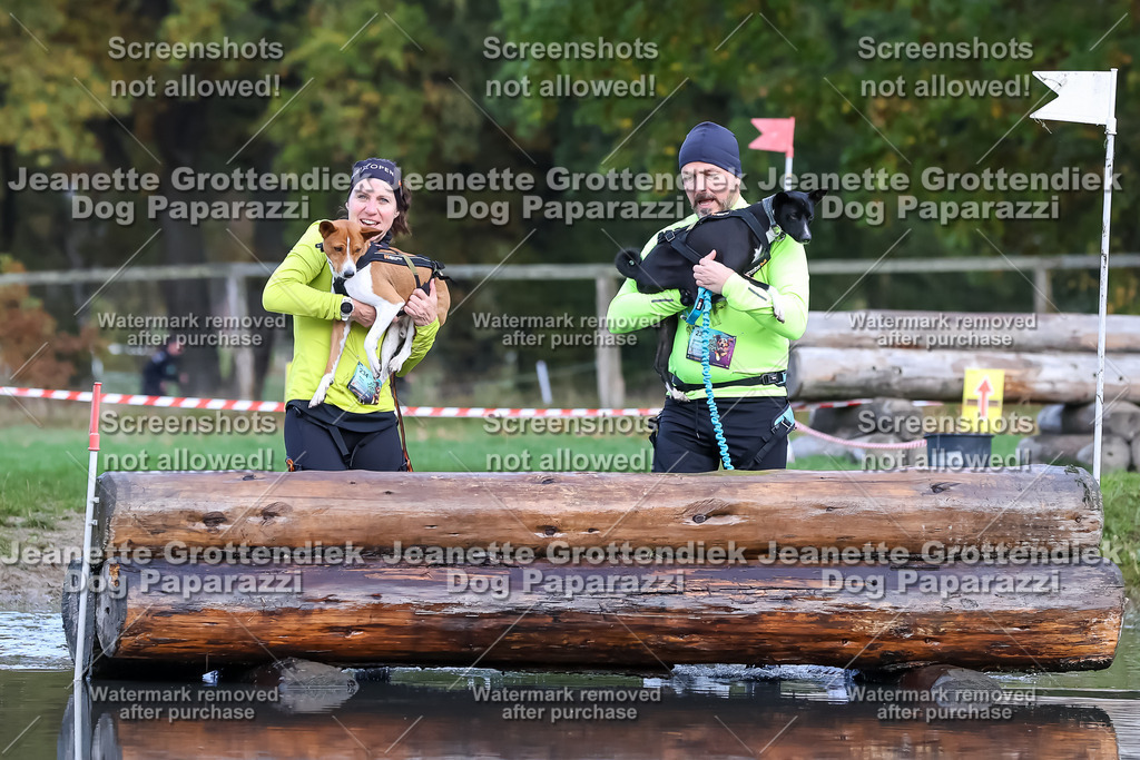 Dog Paparazzi - Strongdog 10-25-6887 | Dog Paparazzi Jeanette Grottendiek Fotografie & Videografie - Realisiert mit Pictrs.com