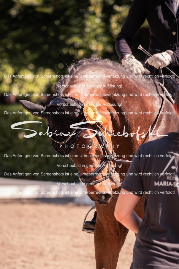 2025_05_31_DSCF3120 | People- und Tierfotografie, Imageaufnahmen, Veranstaltungsfotografie und Wandbilder aus der Natur ★ Made in Germany ✔️ Druck + Downloads ✔️ Naturfotografie in Top Qualität ★ schneller Versand, weltweite Lieferung! - Realisiert mit Pictrs.com