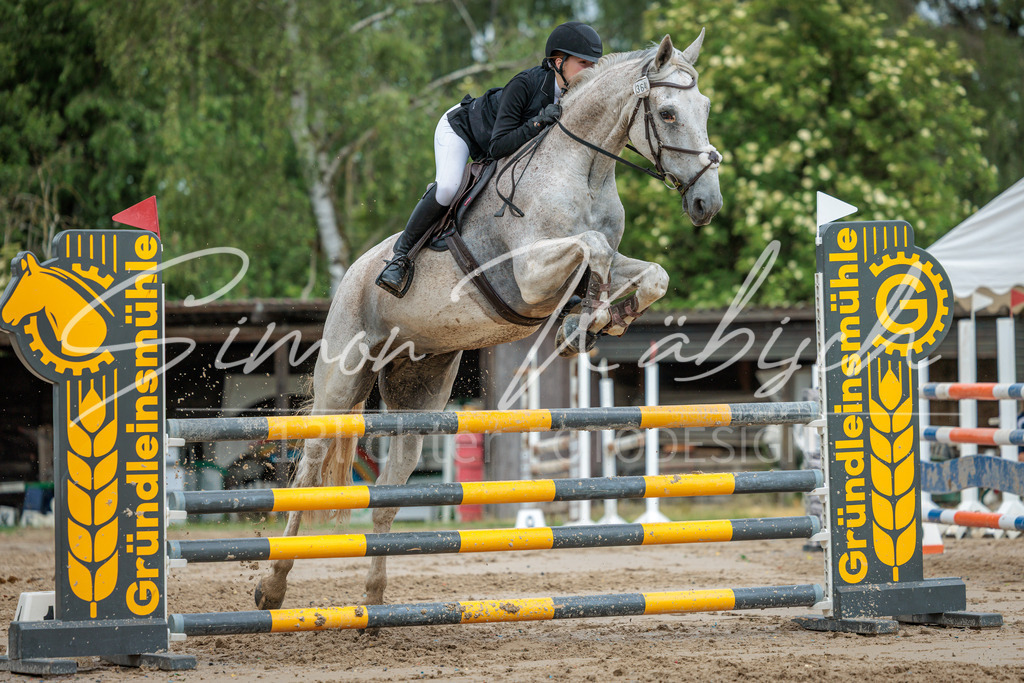 20260530-_3LI2866 | Tierfotografie Pferde, Hunde, Katzen, Haustiere.
Turnierfotografie Reitturniere, Reiten, Springreiten, Dressur in Hanau, dem Main-Kinzig-Kreis und dem Rhein-Main- Gebiet um Frankfurt