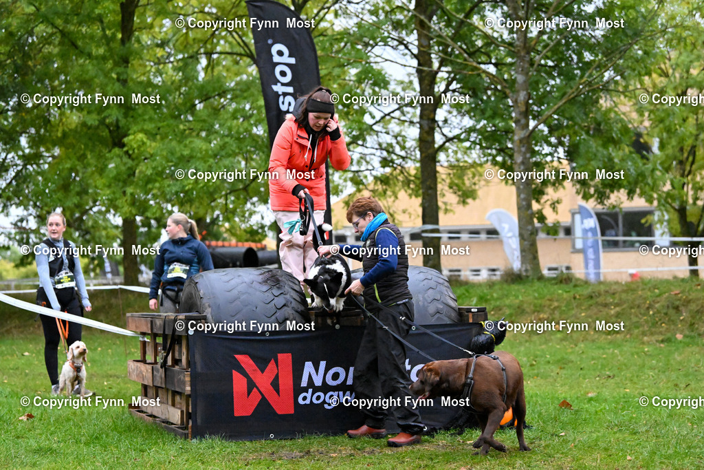 DSC_1917 | Hallo und herzlich Willkommen auf meiner Shop-Seite Fynn Most.

Ich wünsche Dir viel Spaß beim stöbern durch die Bilder, wenn Du Fragen hast oder Bilder vermisst, kannst du mir gerne eine Nachricht schreiben. - Realisiert mit Pictrs.com