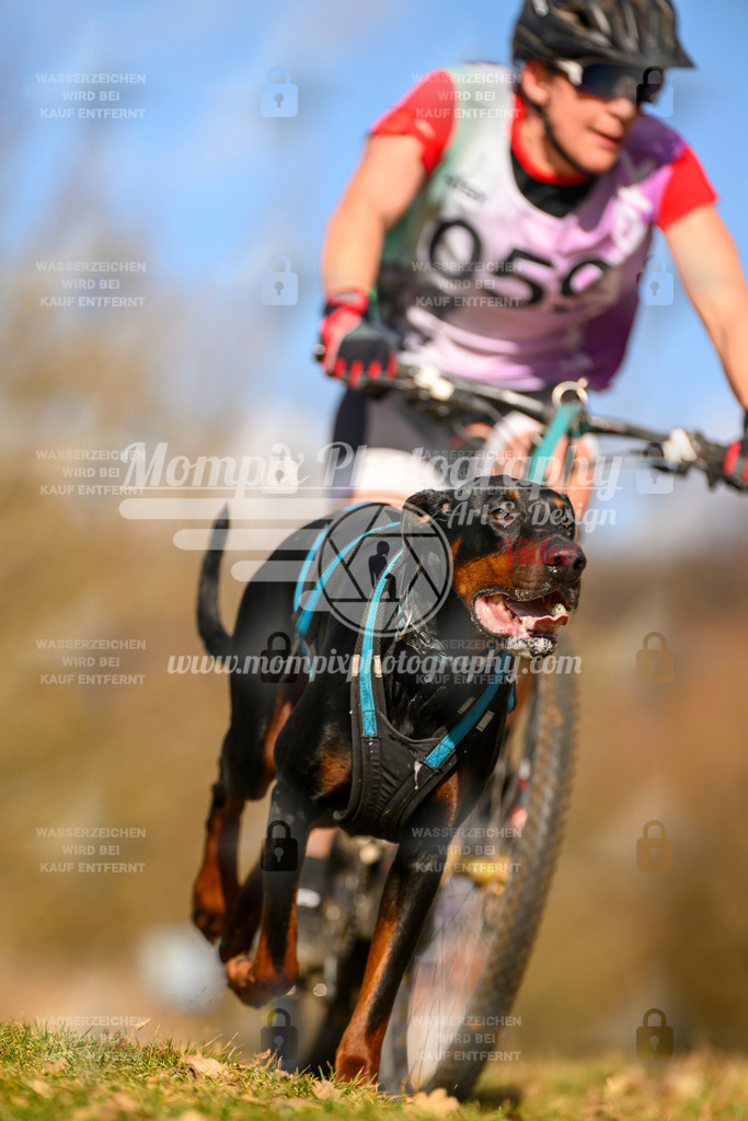 MompixPhotography_10Schwabentrail2026_SO_Bike-62 | PayLife